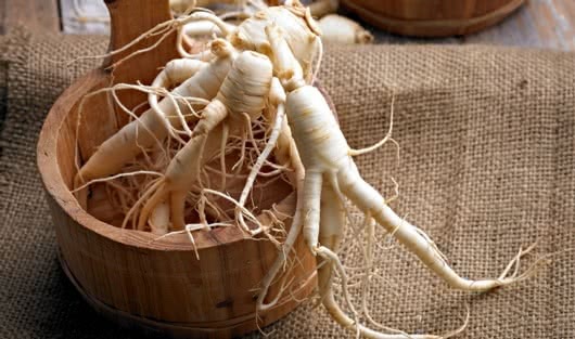 A History Of Ginseng