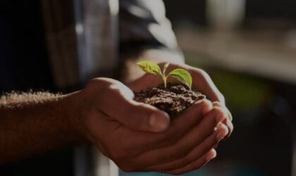 Medicines with natural active ingredients image