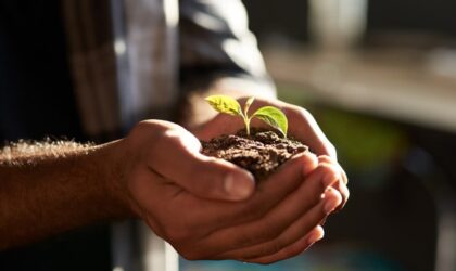 Natural medicine Every step counts image