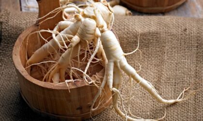 history of ginseng image